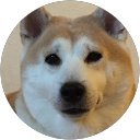 わが家の一人娘 profile picture