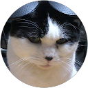 にゃん吉ィ profile picture